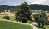 Tour Zu Fuß Pöllau - Wanderweg 2 - Photo 6