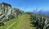 Tocht Stappen Valverde - Valverde - Garoé - Ventejis (El Hierro) - Photo 5