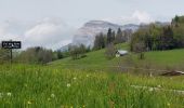 Excursión Senderismo Theys - PETITE MARCHE AUTOUR DU COL DES AYES - Photo 2