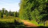 Randonnée Marche Tracy-le-Mont - en forêt de Laigue_2_Le Petit Octogone et l'Octogonet - Photo 11