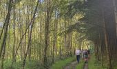 Tocht Stappen Marche-en-Famenne - Lignières - Photo 8