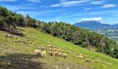 Trail Walking Piégut - Tour Ravin de Neyrac_Via Neyrac - Photo 10