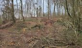 Trail Walking Crugny - Crugny du 30/03/2025 - Photo 16
