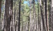 Tour Wandern Vivario - cascade  de manganello et de meli - Photo 3