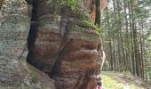 Excursión Senderismo Angomont - Le champ de bataille de la Chapelotte - Photo 8