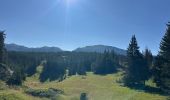 Tour Wandern Saint-Agnan-en-Vercors - Grand Veymont face ouest  - Photo 1
