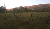 Tour Esel-Trekking Tuchan - cathare 3 Tuchan Duilhac sous peyrepertuse  - Photo 4