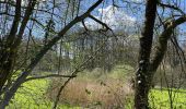 Excursión Senderismo Holsbeek - Sin Pieter Rode  - Photo 6