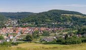 Tour Zu Fuß Lügde - Lügder Weg - Photo 7