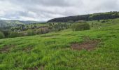 Tour Wandern Grendelbruch - Tour du petit Rosskopf & piton du Falkenstein - Photo 3