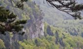 Tour Zu Fuß Gomadingen - Traufgang Hossinger Leiter - Photo 4