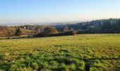 Tocht Stappen Saint-Didier-au-Mont-d'Or - St Fortunat retour par chemin du Pontay - Photo 3