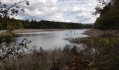 Trail Walking Badonviller - Tour du lac de Pierre-Percée depuis les cabanes du lac - Photo 12