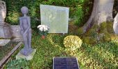 Tour Zu Fuß Küsnacht - Forch - Rehalp - Photo 10