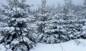Percorso Racchette da neve Cornimont - Raquettes Chalet des Charmes - Photo 5