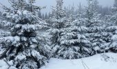 Tocht Sneeuwschoenen Cornimont - Raquettes Chalet des Charmes - Photo 5