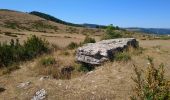 Trail Walking Gorges du Tarn Causses - La Condamine, le Single  - Photo 6