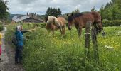 Trail Walking Rendeux - Marcouray - Photo 2