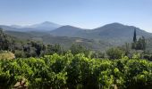 Tocht Stappen La Roque-Alric - Dentelles de Mont Miraille - Photo 5