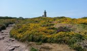 Excursión Senderismo Plévenon - Cap Fréhel - 2017 06 22 - Photo 4