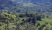 Tour Wandern Murol - AUTOUR DU LAC CHAMBON  - Photo 18