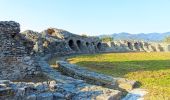 Percorso A piedi Ameglia - Anfiteatro Di Luni – Tenuta di Marinella – Fiumaretta - Photo 2