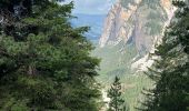 Trail Walking Cortina d'Ampezzo - J 5 Refuge Lavarrella - Photo 8