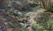 Trail Walking Chevreuse - meridon Coubertin chevreuse - Photo 10