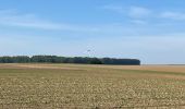 Tocht Stappen Eigenbrakel - BE-Braine-l'Alleud - BSI - Promenade du Seigneur Isaac - Photo 14