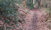 Trail Walking Saint-Pierre-de-Cormeilles - St Pierre de Cormeille - Photo 9