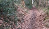 Tocht Stappen Saint-Pierre-de-Cormeilles - St Pierre de Cormeille - Photo 9