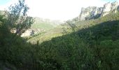 Randonnée Marche Gorges du Tarn Causses - Au long du Tarn: de St Enimie aux Vignes - Photo 7