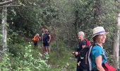 Tocht Stappen Plan-d'Aups-Sainte-Baume - Plan d’aups ste beaume - Photo 4