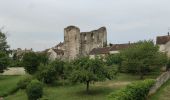 Tour Wandern Montigny-sur-Loing - Montigny sur loing _ Nemours  - Photo 4