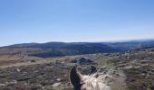 Trail Horseback riding Mont Lozère et Goulet - 2022-09-20 Rando CVA Lozere Refuge Mont Lozere vers Mas de la Barque - Photo 1