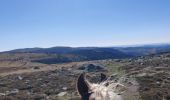 Tour Reiten Mont Lozère et Goulet - 2022-09-20 Rando CVA Lozere Refuge Mont Lozere vers Mas de la Barque - Photo 1