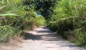 Trail Walking Argelès-sur-Mer - mss larrieu et le tech  - Photo 20