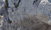 Tour Wandern Saint-Antonin-sur-Bayon - 20220512 la Sainte Victoire - Photo 11