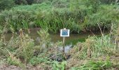 Randonnée A pied North Norfolk - Cley Spy Circular Bird Walk - Photo 4