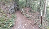 Trail Walking Profondeville - Le sentier géologique et pédologique de Profondeville  - Photo 5