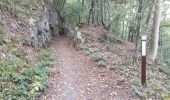 Tour Wandern Profondeville - Le sentier géologique et pédologique de Profondeville  - Photo 5