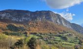 Trail Walking Mont-Saint-Martin - 111123 - Photo 1