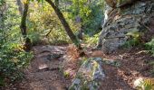 Randonnée Marche Fontainebleau - Sentier Denecourt 1 - Photo 3