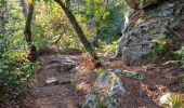 Trail Walking Fontainebleau - Sentier Denecourt 1 - Photo 3