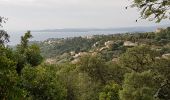 Trail Walking Roquebrune-sur-Argens - LES ISSAMBRES - LE VALLON DE LA GAILLARDE - Photo 16