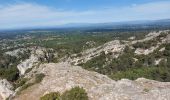 Percorso Marcia Saint-Rémy-de-Provence - les alpilles  arsel - Photo 5