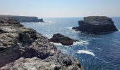 Tour Wandern Bangor - 2-Port Coton - l'Apothicairerie à Belle Île en mer  - Photo 6