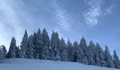 Tour Wandern Diedolshausen - Col des bagenelles / neige - Photo 2