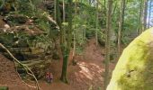Excursión Senderismo Larochette - Mullerthal Larochette L4 Hexenlee-Kauzelee-Drachenlee-Eylelee-Rammelee (PVDB) - Photo 6