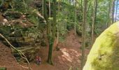 Tour Wandern Fels - Mullerthal Larochette L4 Hexenlee-Kauzelee-Drachenlee-Eylelee-Rammelee (PVDB) - Photo 6